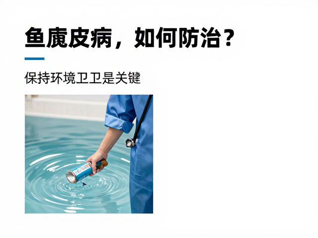 鱼腐皮病、肺炎如何防治?保持环境卫生是关键