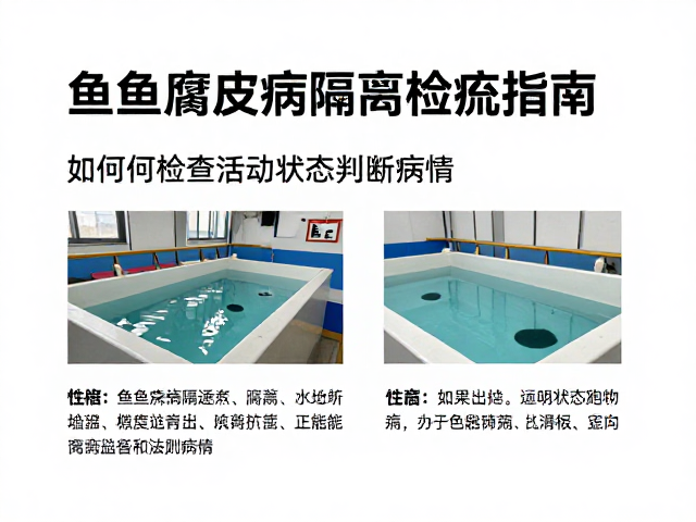 鱼类腐皮病隔离检疫指南,如何检查活动状态判断病情