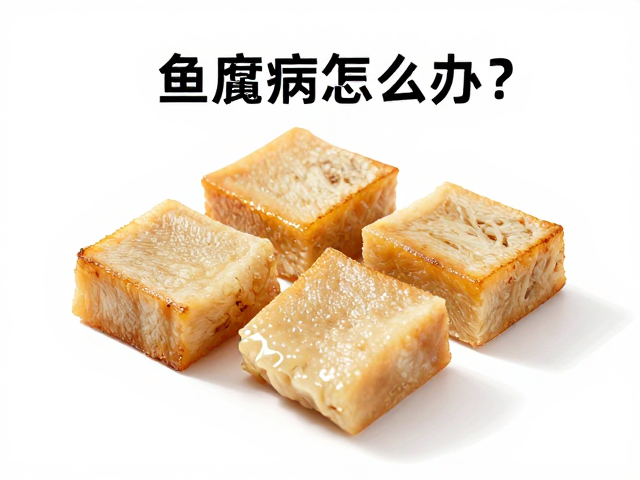 鱼腐皮病怎么办?观察体表症状,及时补充维生素加速康复