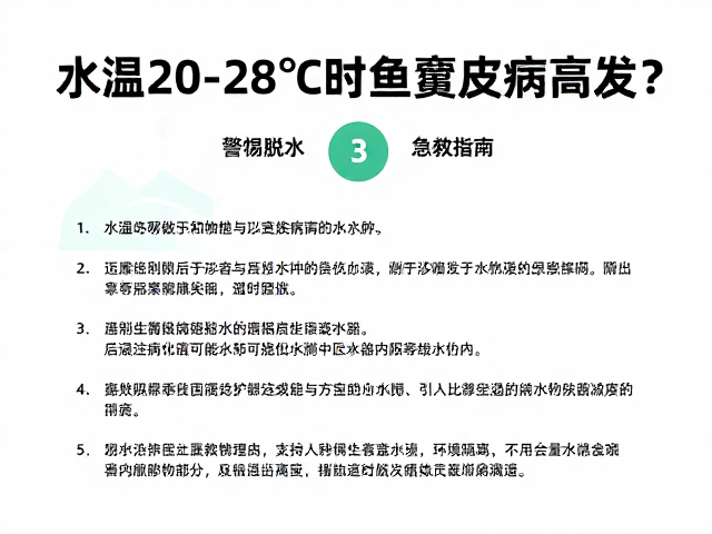 水温20-28℃时鱼腐皮病高发?警惕脱水与水肿,3步急救指南