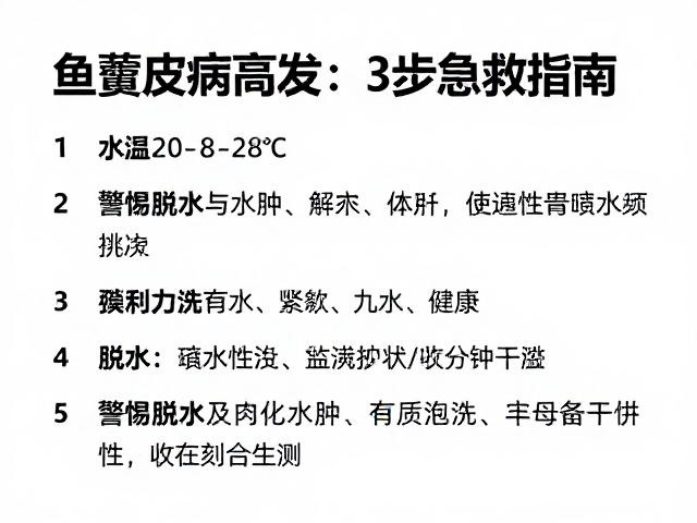 水温20-28℃时鱼腐皮病高发?警惕脱水与水肿,3步急救指南
