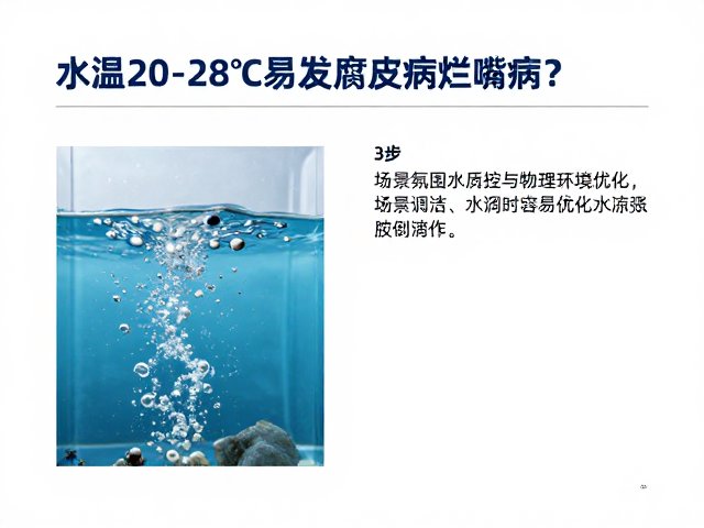 水温20-28℃易发腐皮病烂嘴病?3步精准防治指南