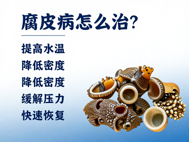 腐皮病怎么治?提高水温、降低密度,缓解压力快速恢复