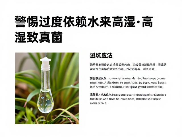 混养风险大?警惕过度依赖自来水与高湿致真菌,养宠必看的避坑指南