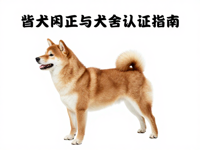 柴犬起源与正规犬舍认证指南,用正向激励法养出完美伴侣