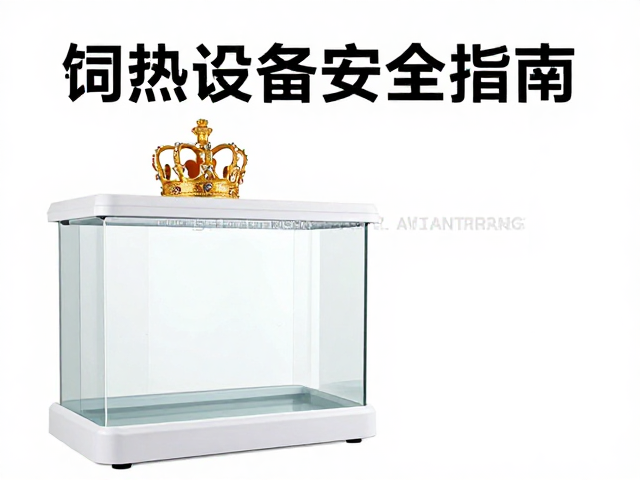 铁皇冠饲养缸加热设备安全指南，防水防烫避坑技巧