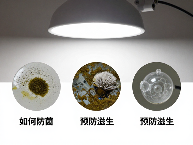 饲养缸用陶瓷加热灯如何防霉菌?3招预防滋生
