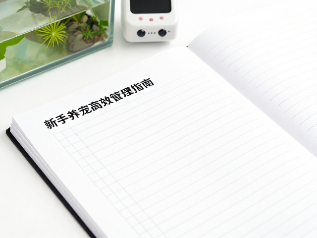 饲养缸,定时器,记录本,新手养宠高效管理指南