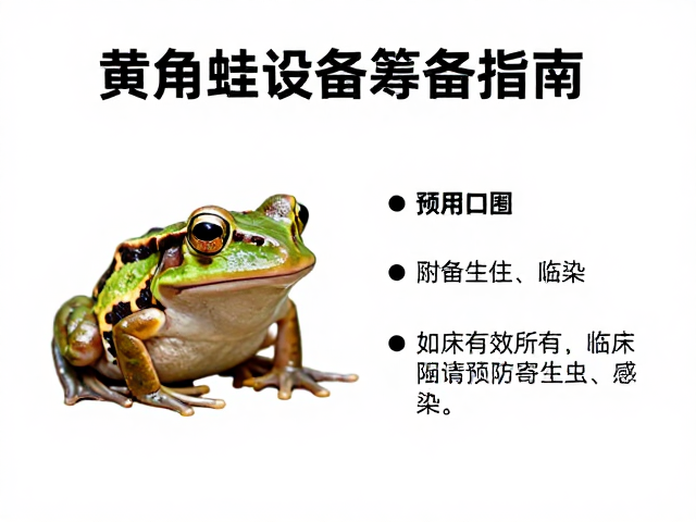 黄金角蛙设备筹备指南,如何有效预防寄生虫感染