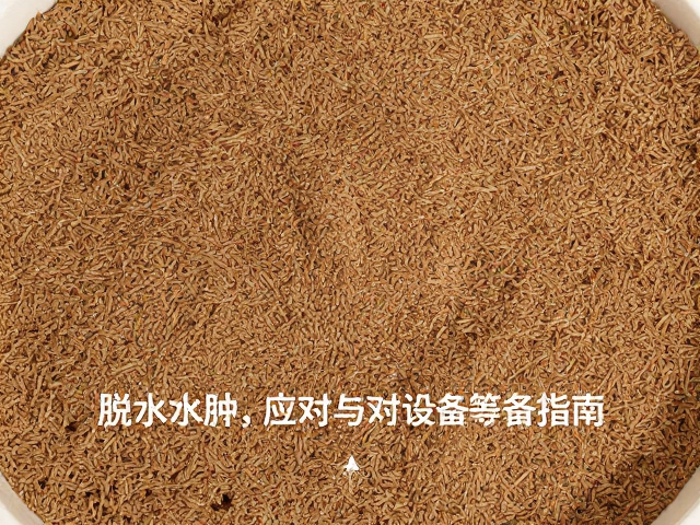 爬宠垫材保湿技巧,脱水水肿应对与设备筹备指南