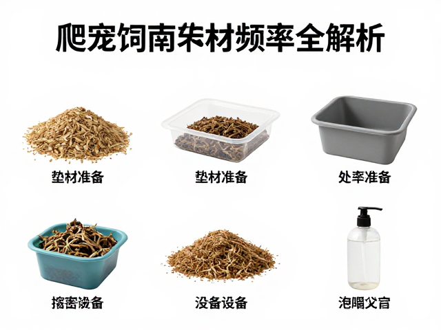 爬宠饲养指南，设备筹备、垫材选择与清洁频率全解析