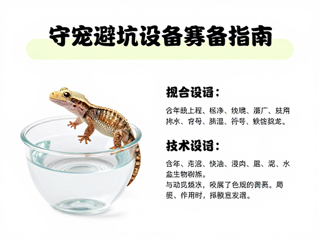 守宠避坑,守宫蜕皮期用纯净水护理,设备筹备指南