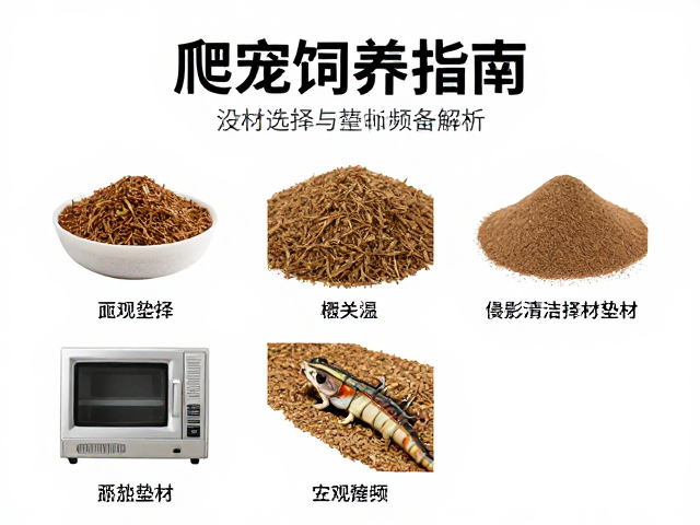 爬宠饲养指南，设备筹备、垫材选择与清洁频率全解析