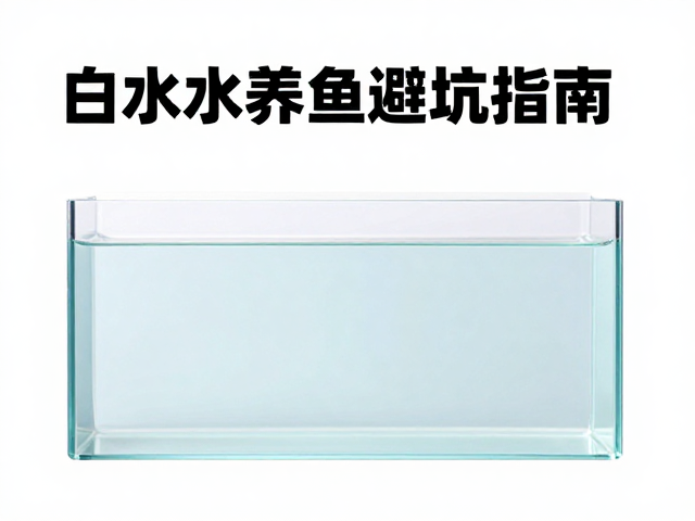 自来水养鱼温度过高？设备筹备避坑指南，新手必看