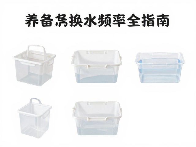 塑料整理箱养鱼怎么换水?设备筹备与换水频率全指南