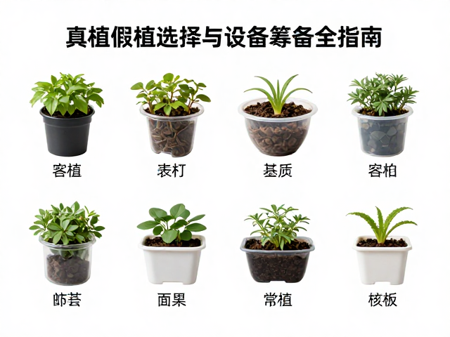 植物生长记录,真植假植选择与设备筹备全指南