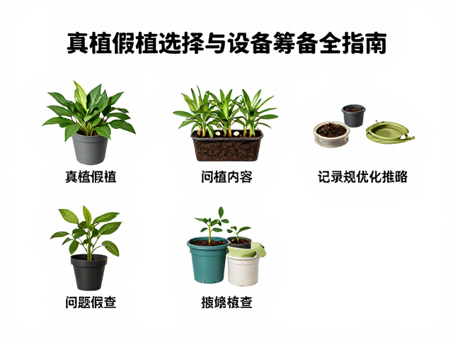 植物生长记录,真植假植选择与设备筹备全指南