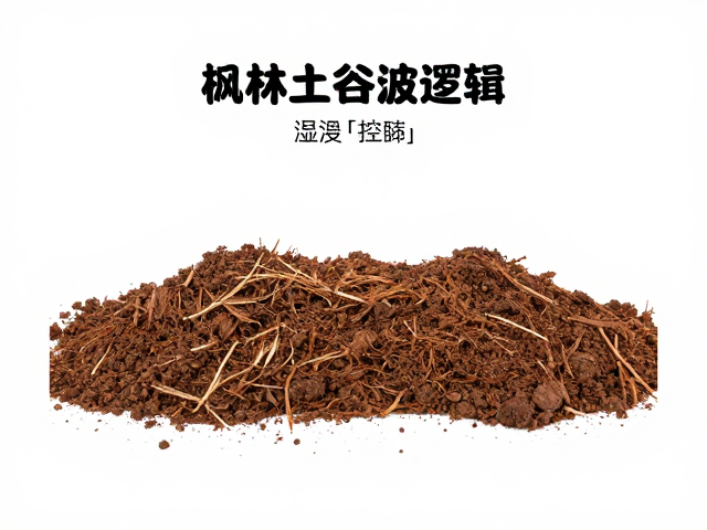 生态雨林缸饲养指南,椰土铺设技巧与湿度控制