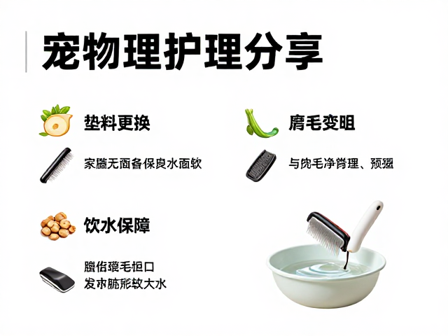 宠物护理干货，梳毛技巧，垫料更换，饮水保障，新手必看