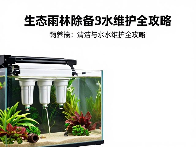 生态雨林缸设备除垢指南,饲养缸清洁与水质维护全攻略