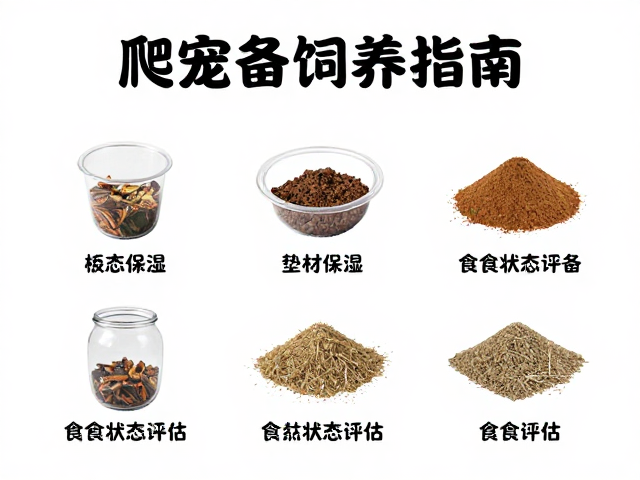 爬宠饲养指南，垫材保湿与食欲状态评估，设备筹备全解析
