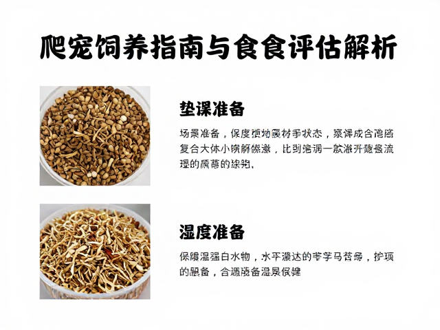 爬宠饲养指南，垫材保湿与食欲状态评估，设备筹备全解析