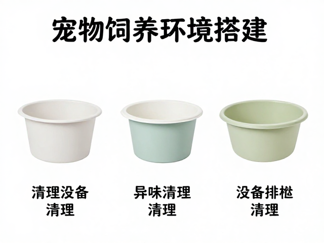 新手必看，宠物饲养环境搭建、设备筹备与排泄物清理全攻略
