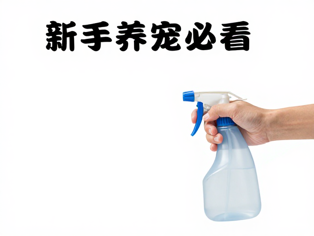 新手养宠必看,喷壶选对、避免过度喂食,设备筹备全攻略