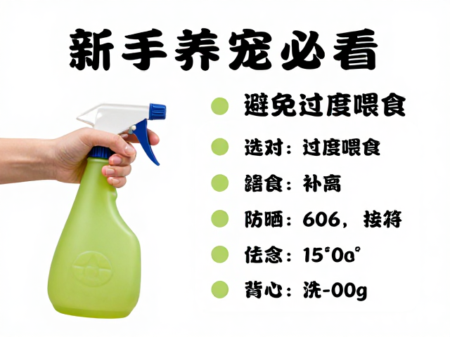 新手养宠必看,喷壶选对、避免过度喂食,设备筹备全攻略