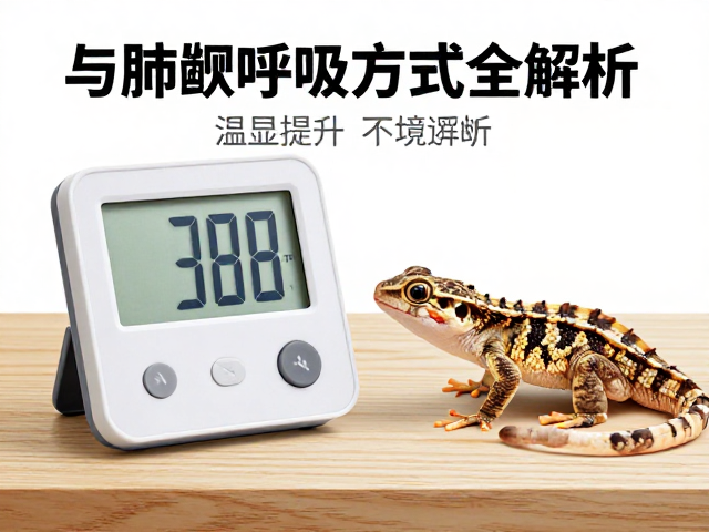 爬宠饲养入门,温湿度计摆放与肺鳃呼吸方式全解析