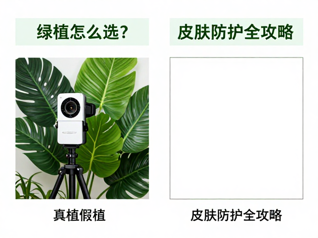 直播设备与绿植怎么选?真植假植对比,皮肤防护全攻略