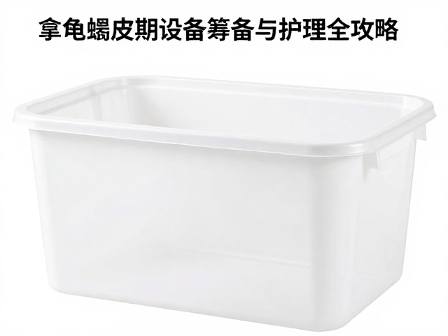 塑料整理箱怎么选？乌龟蜕皮期设备筹备与护理全攻略