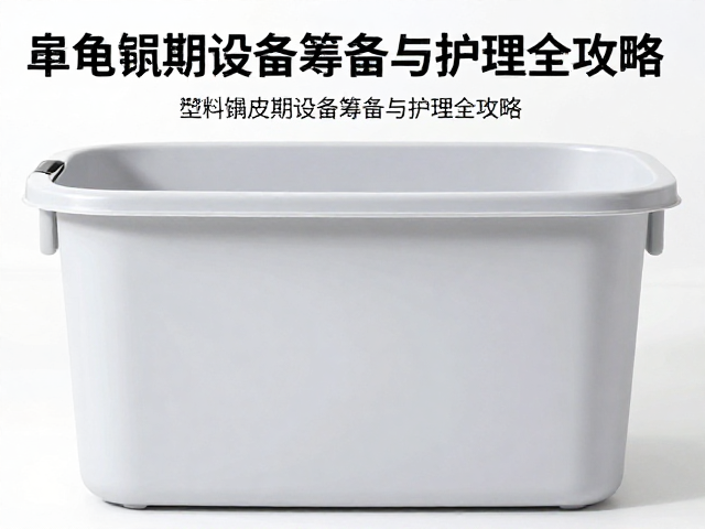 塑料整理箱怎么选？乌龟蜕皮期设备筹备与护理全攻略
