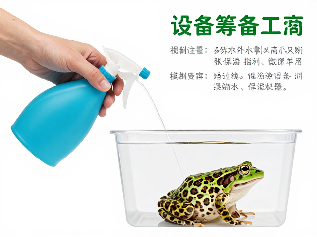 豹纹蛙饲养设备筹备指南，喷壶使用技巧与保湿秘籍