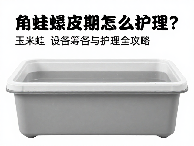 角蛙蜕皮期怎么护理?玉米蛙设备筹备与护理全攻略