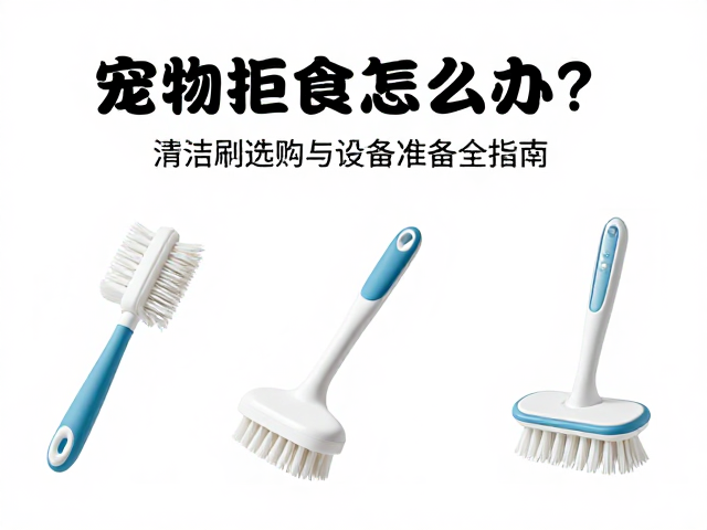 宠物拒食怎么办?清洁刷选购与设备筹备全指南
