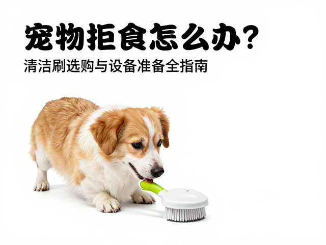 宠物拒食怎么办?清洁刷选购与设备筹备全指南