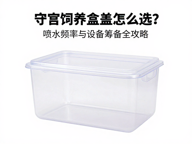 守宫饲养盒盖怎么选?喷水频率与设备筹备全攻略