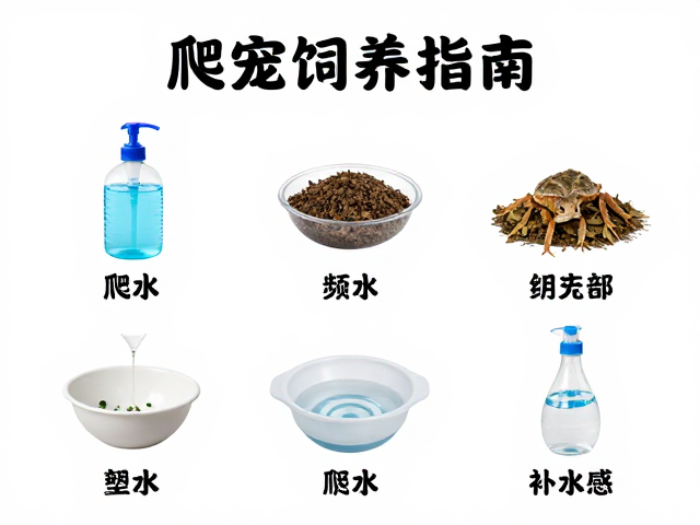 爬宠饲养指南,设备筹备、垫材保湿与换水频率全解析