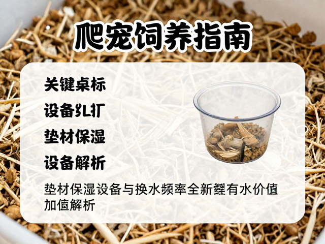 爬宠饲养指南,设备筹备、垫材保湿与换水频率全解析