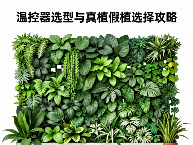 植物墙设备筹备指南,温控器选型与真植假植选择攻略
