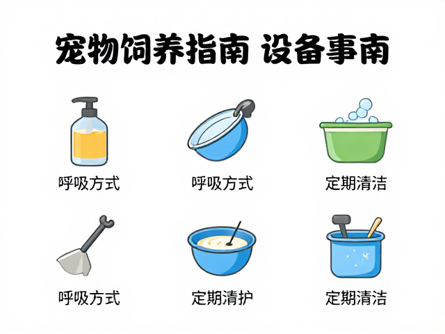 宠物饲养指南，设备筹备、呼吸方式与定期清洁全解析