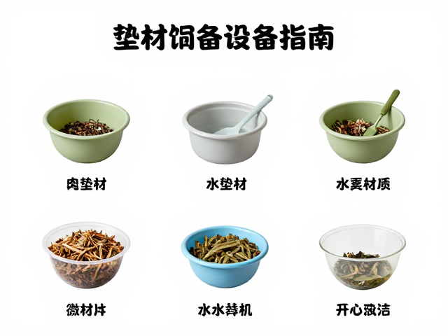 爬宠饲养指南，设备筹备、垫材选择与水质清洁频率全解析