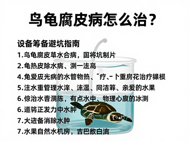 乌龟腐皮病怎么治？设备筹备避坑指南，快速消除水肿