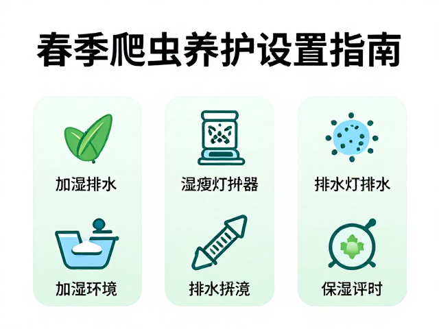 春季爬虫养护,加湿排水与UVB灯设置指南