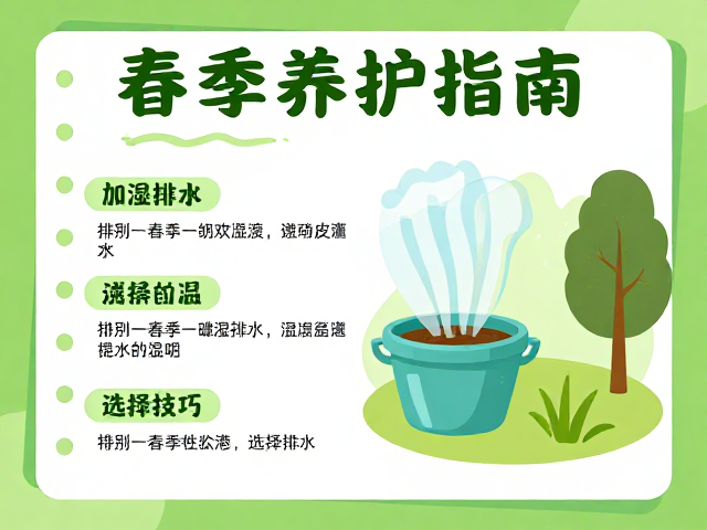 春季养护指南,加湿排水与昆虫种类选择技巧