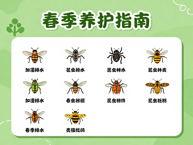 春季养护指南,加湿排水与昆虫种类选择技巧