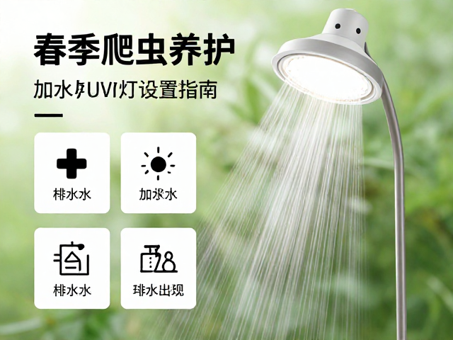 春季爬虫养护,加湿排水与UVB灯设置指南
