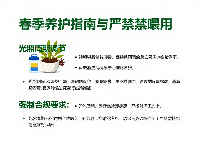 春季养护指南,光照周期调节与严禁喂食的关键作用