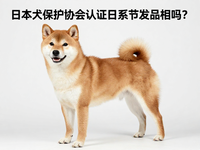 日本犬保护协会认证日系柴犬品相,易患髋关节发育不良吗?
